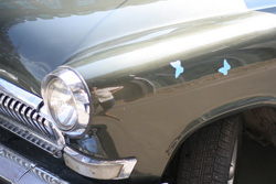 Бабочки на борту легендарного агрегата